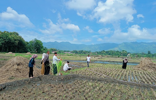 PS Bulukidul 1