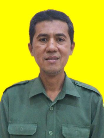 Samsul